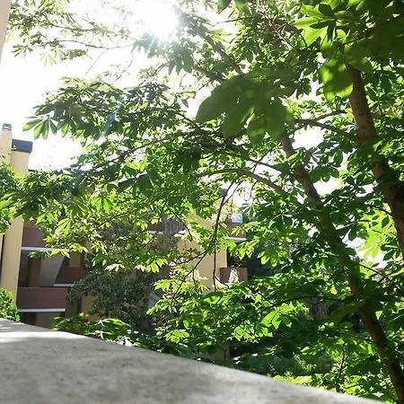 La Palma Apartment
